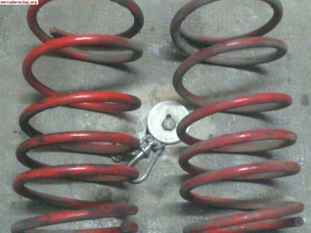 Muelles Rebajados Para Saxo 106 AX