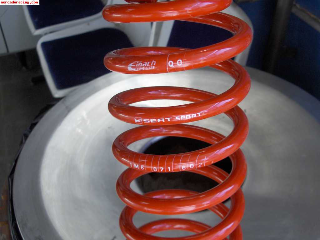 Kit Suspensión Bilstein+Muelles Eibach